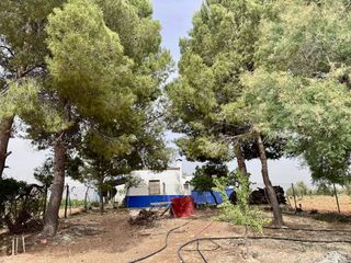 Terreno en venta en Valdepeñas