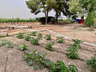 Terreno en venta en Valdepeñas