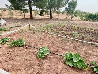 Terreno en venta en Valdepeñas
