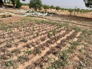 Terreno en venta en Valdepeñas