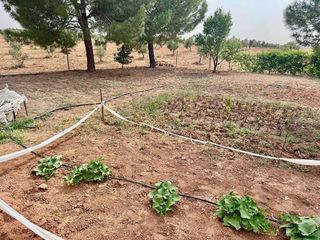 Terreno en venta en Valdepeñas