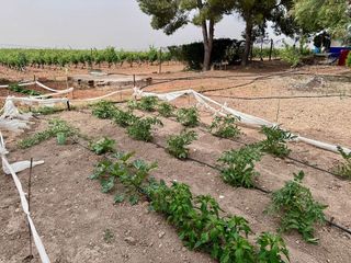 Terreno en venta en Valdepeñas