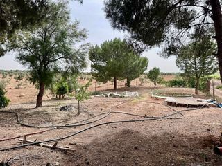 Terreno en venta en Valdepeñas