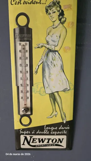 Cartel Retro Vintage Newton Amortisseur