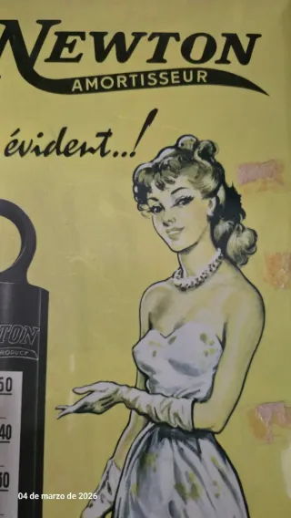 Cartel Retro Vintage Newton Amortisseur