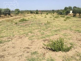 Terreno en venta en Almonte en Almonte