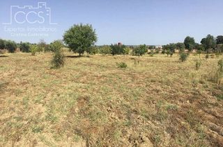 Terreno en venta en Almonte en Almonte
