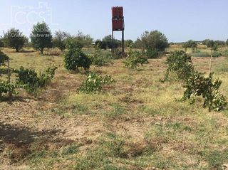 Terreno en venta en Almonte en Almonte