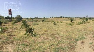 Terreno en venta en Almonte en Almonte