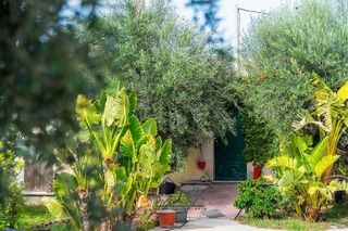 Terreno en venta en Vícar en Vícar