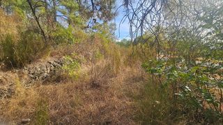 Terreno en venta en Candeleda