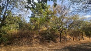 Terreno en venta en Candeleda