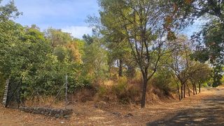 Terreno en venta en Candeleda