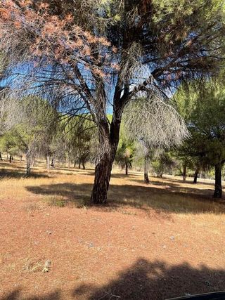 Terreno en venta en Laguna de Duero