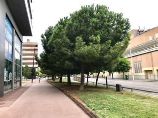 Local comercial en alquiler en Fontsanta - Fatjó en Cornellà de Llobregat