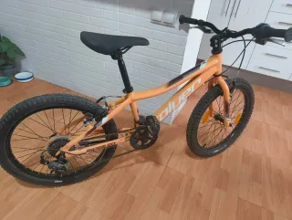 Bicicleta Rin 20