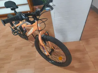 Bicicleta Rin 20
