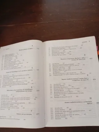 Fisica cuantica/ Quantum Physics (Spanish Edition)