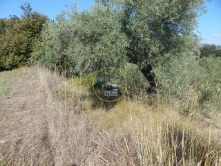 Solar en venta en Ontinyent