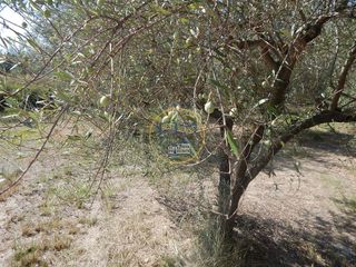 Solar en venta en Ontinyent