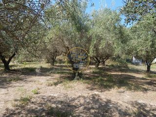 Solar en venta en Ontinyent