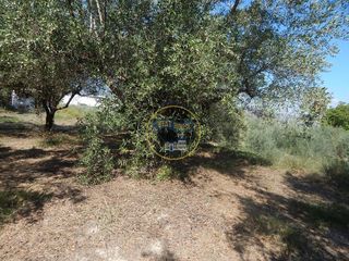 Solar en venta en Ontinyent