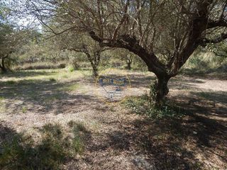 Solar en venta en Ontinyent