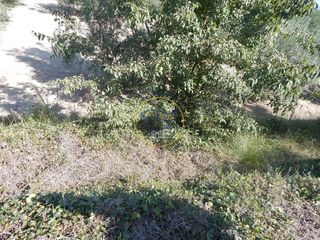 Solar en venta en Ontinyent