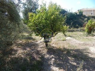 Solar en venta en Ontinyent