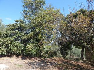 Solar en venta en Ontinyent