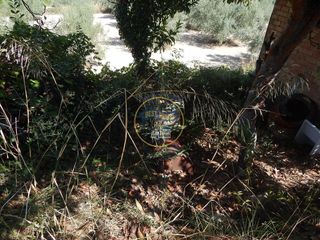 Solar en venta en Ontinyent