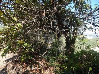 Solar en venta en Ontinyent