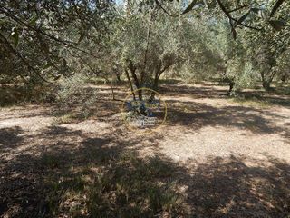 Solar en venta en Ontinyent