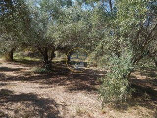 Solar en venta en Ontinyent