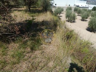 Solar en venta en Ontinyent