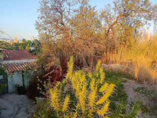 Terreno en venta en Parque de la Bombilla-Pla de Rascanya en Llíria