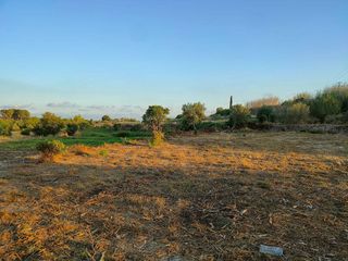 Terreno en venta en Parque de la Bombilla-Pla de Rascanya en Llíria