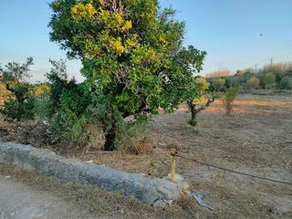 Terreno en venta en Parque de la Bombilla-Pla de Rascanya en Llíria