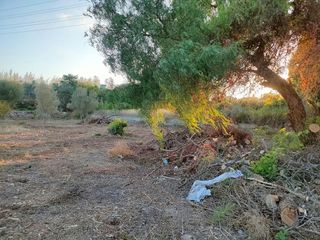 Terreno en venta en Parque de la Bombilla-Pla de Rascanya en Llíria