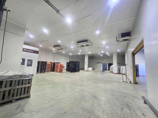 Nave industrial en alquiler en Campanillas en Málaga