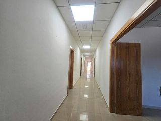 Nave industrial en alquiler en Campanillas en Málaga