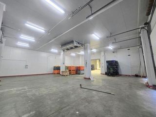 Nave industrial en alquiler en Campanillas en Málaga