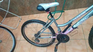 Bicicleta de Montaña