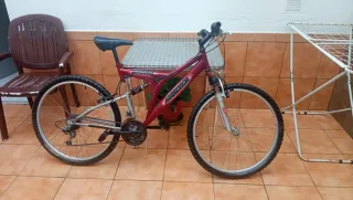Bicicleta de Montaña