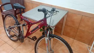 Bicicleta de Montaña