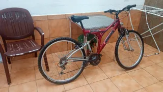 Bicicleta de Montaña