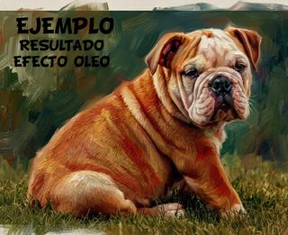 Cuadro personalizado efecto óleo