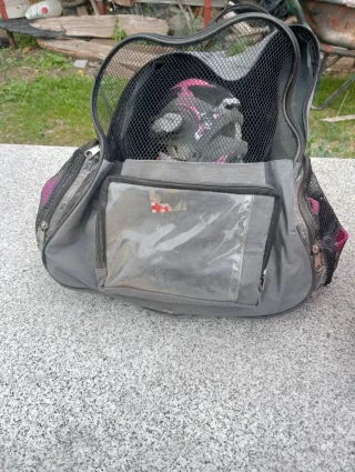 Patines en línea niña Monster High