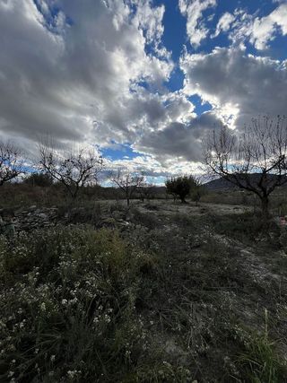 Casa en venta en Bullas