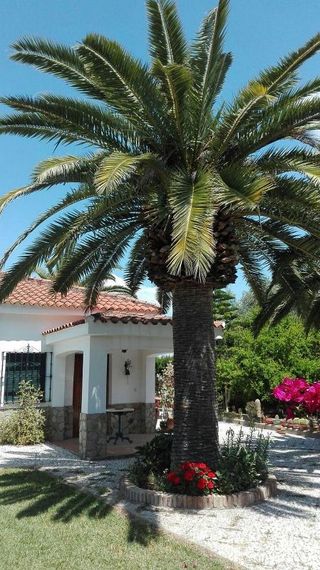 Chalet en venta en Carmona